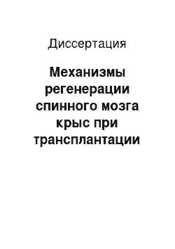 Диссертация: Механизмы регенерации спинного мозга крыс при трансплантации обкладочных нейроэпителиальных клеток в биополимерном коллагеновом матриксе