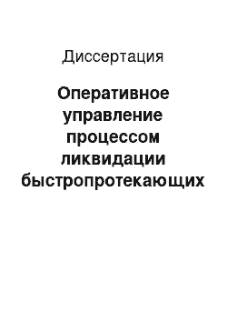 Диссертация: Оперативное управление процессом ликвидации быстропротекающих чрезвычайных ситуаций на основе динамических моделей