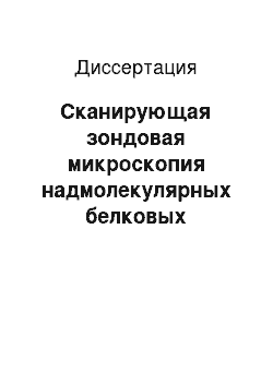 Диссертация: Сканирующая зондовая микроскопия надмолекулярных белковых комплексов