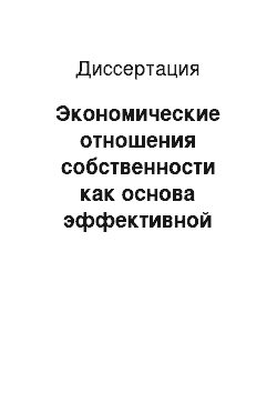 Диссертация: Экономические отношения собственности как основа эффективной системы хозяйствования