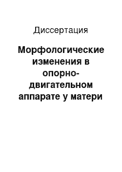 Диссертация: Морфологические изменения в опорно-двигательном аппарате у матери и плода при воздействии вибрации во время беременности