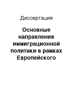 Диссертация: Основные направления иммиграционной политики в рамках Европейского Союза: Проблемы и перспективы