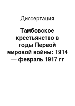 Диссертация: Тамбовское крестьянство в годы Первой мировой войны: 1914 — февраль 1917 гг