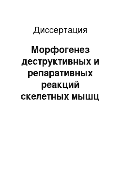 Диссертация: Морфогенез деструктивных и репаративных реакций скелетных мышц при метаболических нарушениях различного генеза (токсических повреждениях, генетически детерминированной миопатии, пароксизмальной миогло