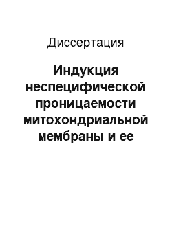 Диссертация: Индукция неспецифической проницаемости митохондриальной мембраны и ее роль в регуляции выхода цитохрома с при апоптозе