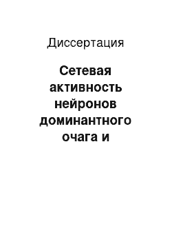 Диссертация: Сетевая активность нейронов доминантного очага и представительства тестирующего этот очаг стимула