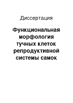 Диссертация: Функциональная морфология тучных клеток репродуктивной системы самок белых мышей в различные периоды эстрального цикла