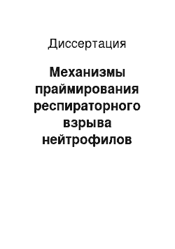 Диссертация: Механизмы праймирования респираторного взрыва нейтрофилов