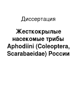 Диссертация: Жесткокрылые насекомые трибы Aphodiini (Coleoptera, Scarabaeidae) России
