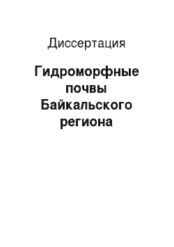 Диссертация: Гидроморфные почвы Байкальского региона