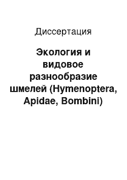 Диссертация: Экология и видовое разнообразие шмелей (Hymenoptera, Apidae, Bombini) Среднеобской низменности