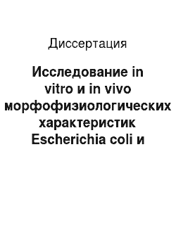 Диссертация: Исследование in vitro и in vivo морфофизиологических характеристик Escherichia coli и Staphylococcus aureus при действии низкоинтенсивного излучения видимого и радиодиапазонов