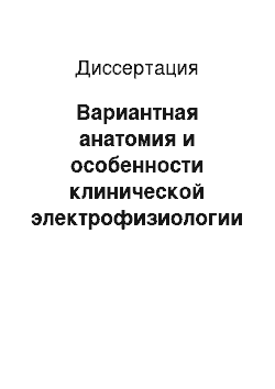 Диссертация: Вариантная анатомия и особенности клинической электрофизиологии у больных с пароксизмальной формой фибрилляции предсердий