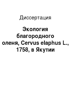 Диссертация: Экология благородного оленя, Cervus elaphus L., 1758, в Якутии