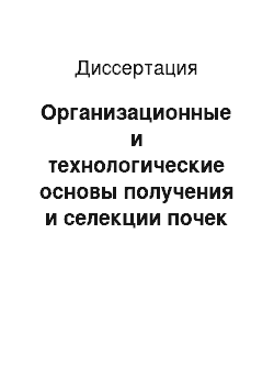 Диссертация: Организационные и технологические основы получения и селекции почек для трансплантации