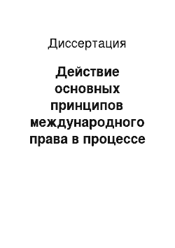 Диссертация: Действие основных принципов международного права в процессе урегулирования конфликта в Югославии