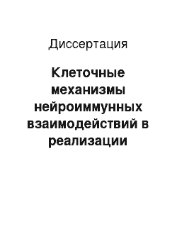 Диссертация: Клеточные механизмы нейроиммунных взаимодействий в реализации ориентировочно-исследовательского поведения