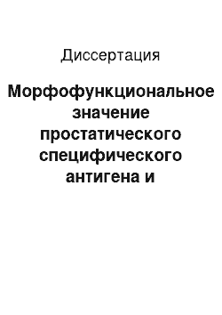 Диссертация: Морфофункциональное значение простатического специфического антигена и высокомолекулярного цитокератина при заболеваниях предстательной железы