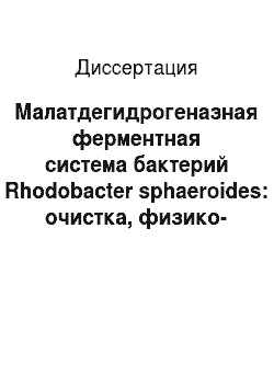 Диссертация: Малатдегидрогеназная ферментная система бактерий Rhodobacter sphaeroides: очистка, физико-химические свойства, метаболитная и экспрессионная регуляция