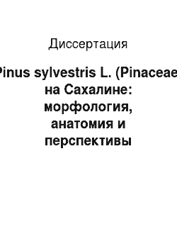 Диссертация: Pinus sylvestris L. (Pinaceae) на Сахалине: морфология, анатомия и перспективы использования в лесовосстановлении