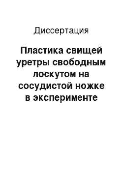 Диссертация: Пластика свищей уретры свободным лоскутом на сосудистой ножке в эксперименте