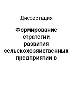 Диссертация: Формирование стратегии развития сельскохозяйственных предприятий в системе отраслевого стратегического планирования