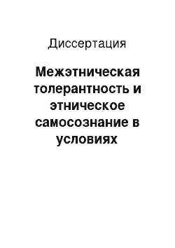 Диссертация: Межэтническая толерантность и этническое самосознание в условиях крупного полиэтничного города: На примере г. Казань