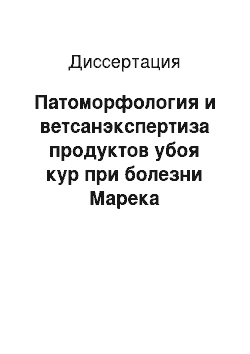 Диссертация: Патоморфология и ветсанэкспертиза продуктов убоя кур при болезни Марека