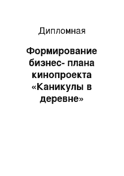 Дипломная: Формирование бизнес-плана кинопроекта «Каникулы в деревне»