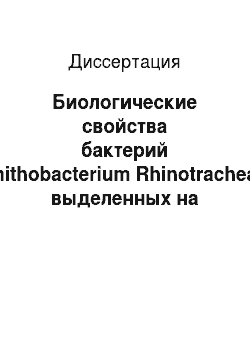 Диссертация: Биологические свойства бактерий Ornithobacterium Rhinotracheale, выделенных на территории Российской Федерации
