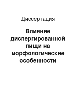 Диссертация: Влияние диспергированной пищи на морфологические особенности ободочной кишки белых крыс в раннем постнатальном онтогенезе