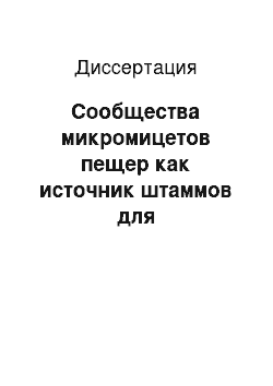 Диссертация: Сообщества микромицетов пещер как источник штаммов для сельскохозяйственной и экологической биотехнологии