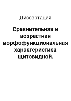 Диссертация: Сравнительная и возрастная морфофункциональная характеристика щитовидной, околощитовидной желез и каротидного клубочка животных