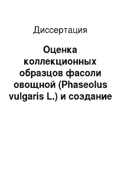 Диссертация: Оценка коллекционных образцов фасоли овощной (Phaseolus vulgaris L.) и создание исходного материала для ее селекции в южной лесостепи Западной Сибири