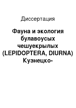 Диссертация: Фауна и экология булавоусых чешуекрылых (LEPIDOPTERA, DIURNA) Кузнецко-Салаирской горной области