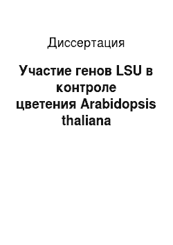 Диссертация: Участие генов LSU в контроле цветения Arabidopsis thaliana