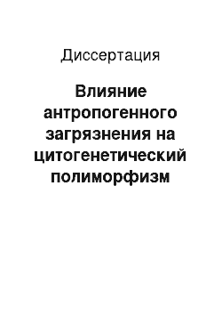 Диссертация: Влияние антропогенного загрязнения на цитогенетический полиморфизм семенного потомства берёзы повислой (Betula pendula Roth) в естественных и искусственных древостоях