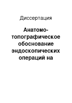 Диссертация: Анатомо-топографическое обоснование эндоскопических операций на носоглотке у детей