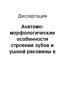 Диссертация: Анатомо-морфологические особенности строения зубов и ушной раковины в идентификации личности