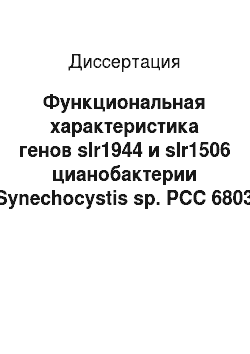 Диссертация: Функциональная характеристика генов slr1944 и slr1506 цианобактерии Synechocystis sp. РСС 6803