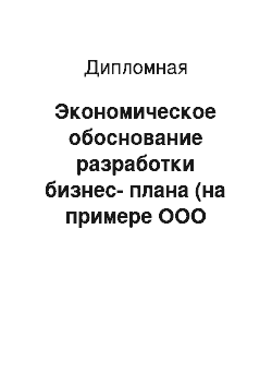 Дипломная: Экономическое обоснование разработки бизнес-плана (на примере ООО «Радуга»)