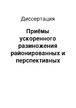 Диссертация: Приёмы ускоренного размножения районированных и перспективных сортов картофеля в Центральном Черноземье