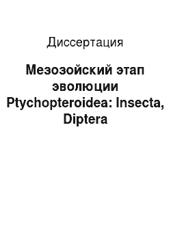 Диссертация: Мезозойский этап эволюции Ptychopteroidea: Insecta, Diptera