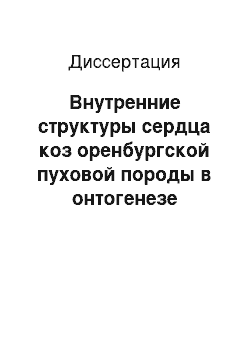 Диссертация: Внутренние структуры сердца коз оренбургской пуховой породы в онтогенезе