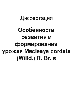 Диссертация: Особенности развития и формирования урожая Macleaya cordata (Willd.) R. Br. в условиях Кубани