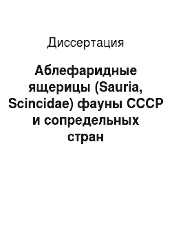 Диссертация: Аблефаридные ящерицы (Sauria, Scincidae) фауны СССР и сопредельных стран