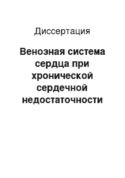 Диссертация: Венозная система сердца при хронической сердечной недостаточности (клинико-морфологическое исследование)