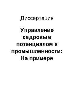 Диссертация: Управление кадровым потенциалом в промышленности: На примере предприятий Нижегородской области