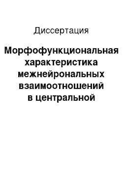 Диссертация: Морфофункциональная характеристика межнейрональных взаимоотношений в центральной нервной системе при экспериментальном воспроизведении лихорадки Западного Нила