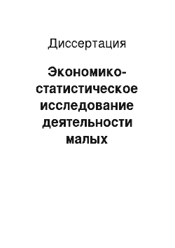 Диссертация: Экономико-статистическое исследование деятельности малых предприятий